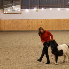 Weihnachtsreiten2018-29-DSCF0197