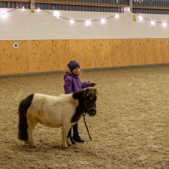 Weihnachtsreiten2018-39-DSCF0224