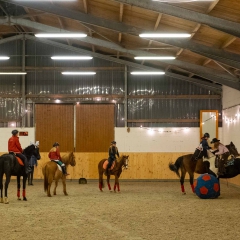 Weihnachtsreiten2018-44-DSCF0237