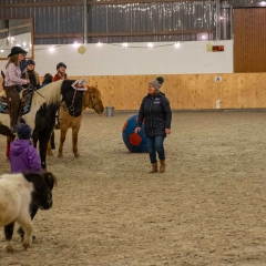Weihnachtsreiten2018-52-DSCF0264