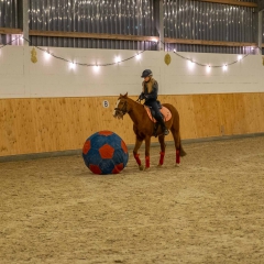 Weihnachtsreiten2018-82-DSCF0323