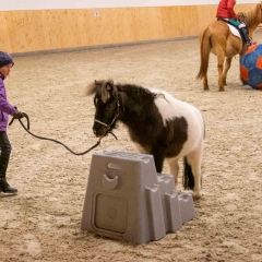 Weihnachtsreiten2018-83-DSCF0326