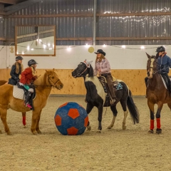 Weihnachtsreiten2018-51-DSCF0259