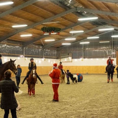 Weihnachtsreiten2018-59-DSCF0276